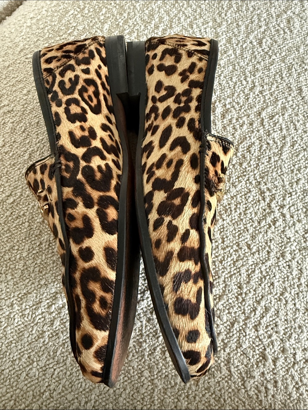 Sam Edelman Loraine Leopard Print Haircalf Loafers with Gold Bit - Picture 6 of 9